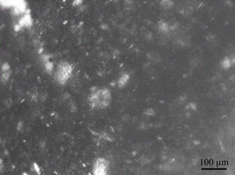 A method for optimizing the preparation of ascidian nanocellulose