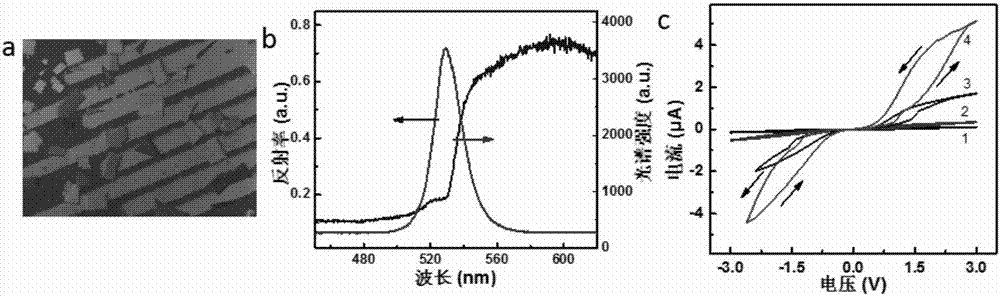 Method for building CsPbBr3 nanosheet electroluminescent device by chemical vapor deposition (CVD)