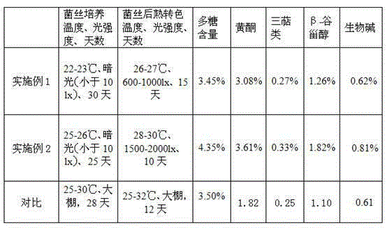 Phellinus mycelium product rich in bioactive components and production method thereof