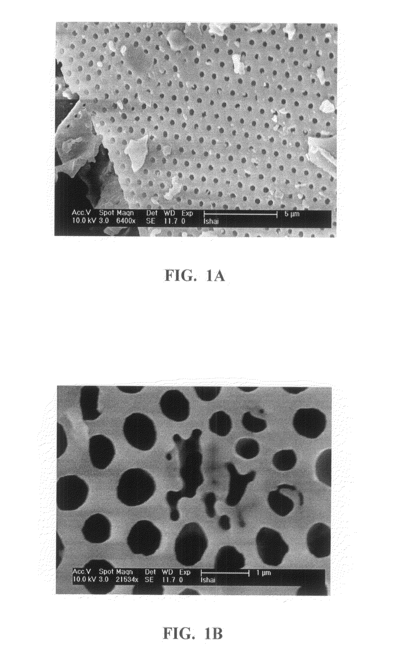 Zero valent metal composite, manufacturing, system and method using thereof, for catalytically treating contaminated water