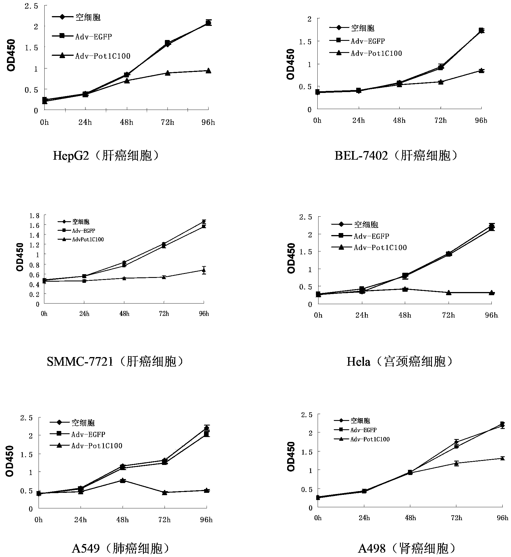 Telomeric protein polypeptide fragment with tumor cell killing activity and application thereof