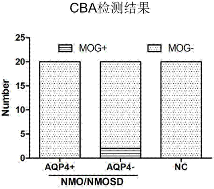 Preparation of cell growing slide assembly of CBA (cytometric bead array) kit for detecting MOG-IgG, CBA detection kit and application of CBA detection kit