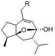 Anti-herpes simplex virus (HSV) cincumol derivative