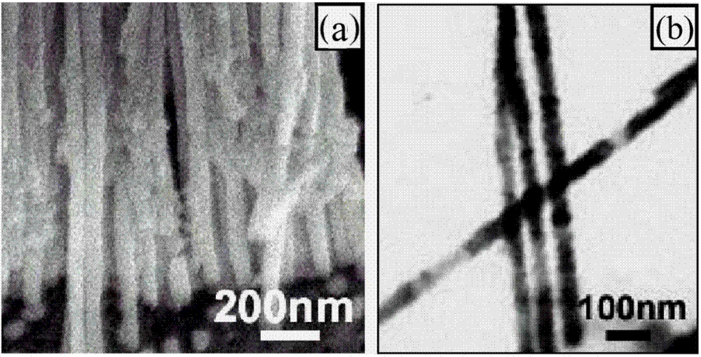 Preparation method of ferric oxide-doped nanowire ordered array photo-anode