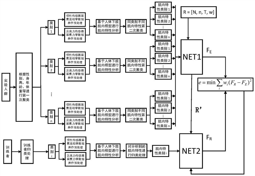 Personalized precise training method based on human body lower limb muscle model