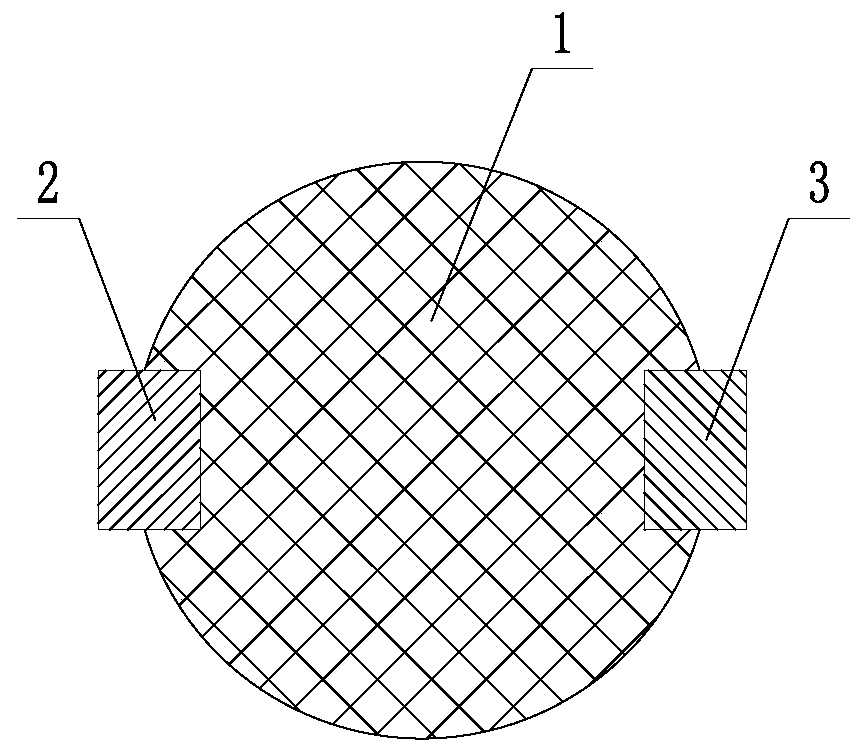 Multifunctional replacing-type blasting electrode for plasma blasting experimental system