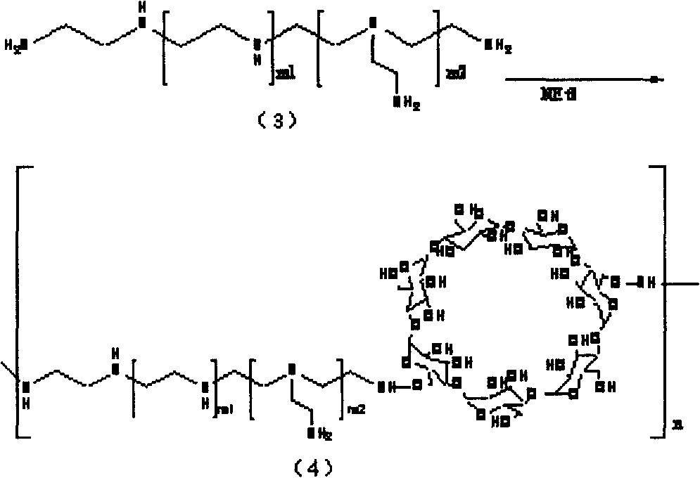 Polycation transgene vector and method for synthesizing same