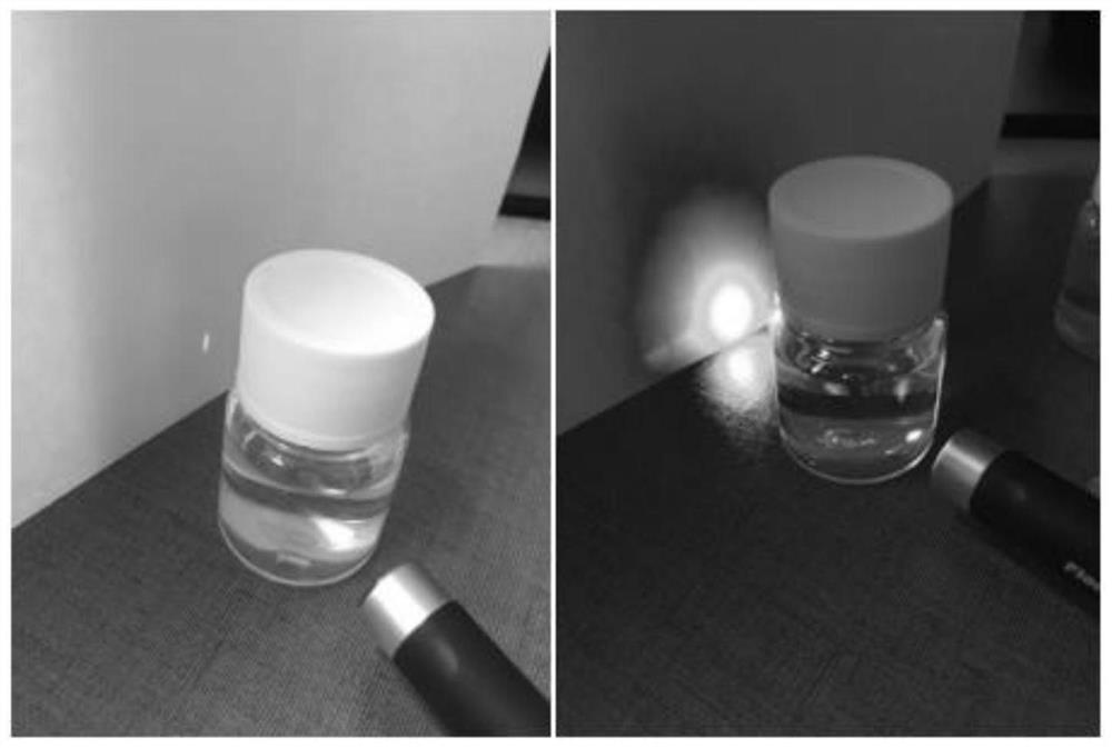 A kind of anti-blue light cosmetic composition and preparation method thereof