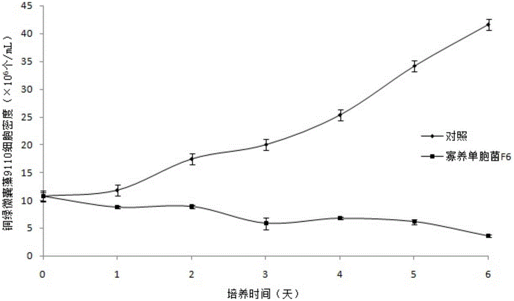 A Strain of Stenotrophomonas and Its Application