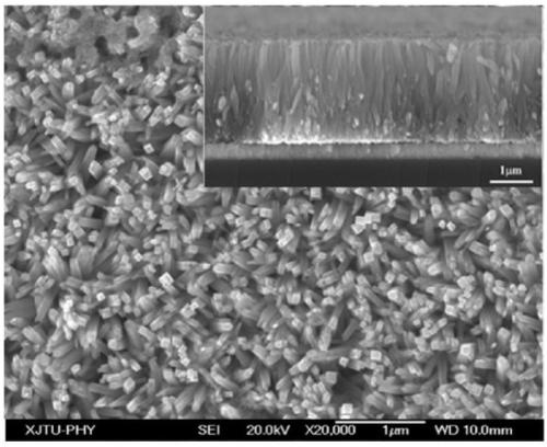 Method for preferred orientation growth of rutile titanium dioxide nanowire arrays on crystal face (001)