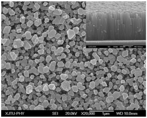 Method for preferred orientation growth of rutile titanium dioxide nanowire arrays on crystal face (001)
