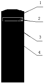 A kind of self-propagating reaction-based ignition packaging head and packaging method thereof