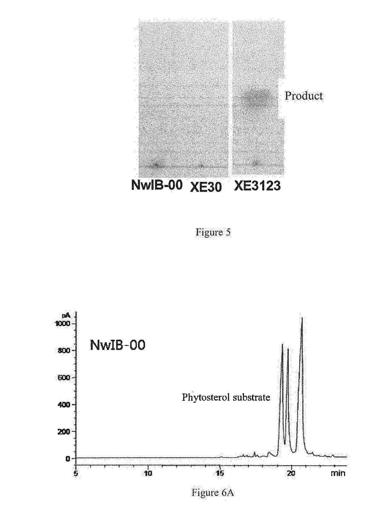 A Genetically-Engineered Mycobacterium Strain And A Use Thereof In The Preparation Of Steroidal Compounds