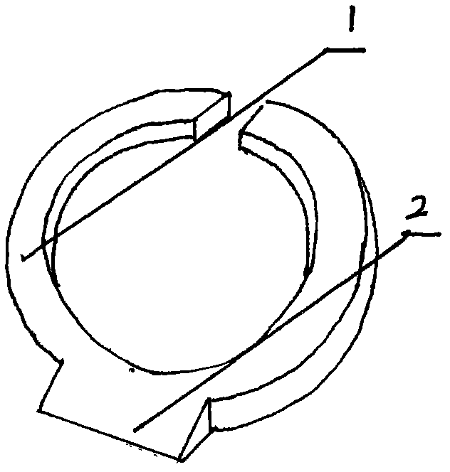 Ring type fruit picker