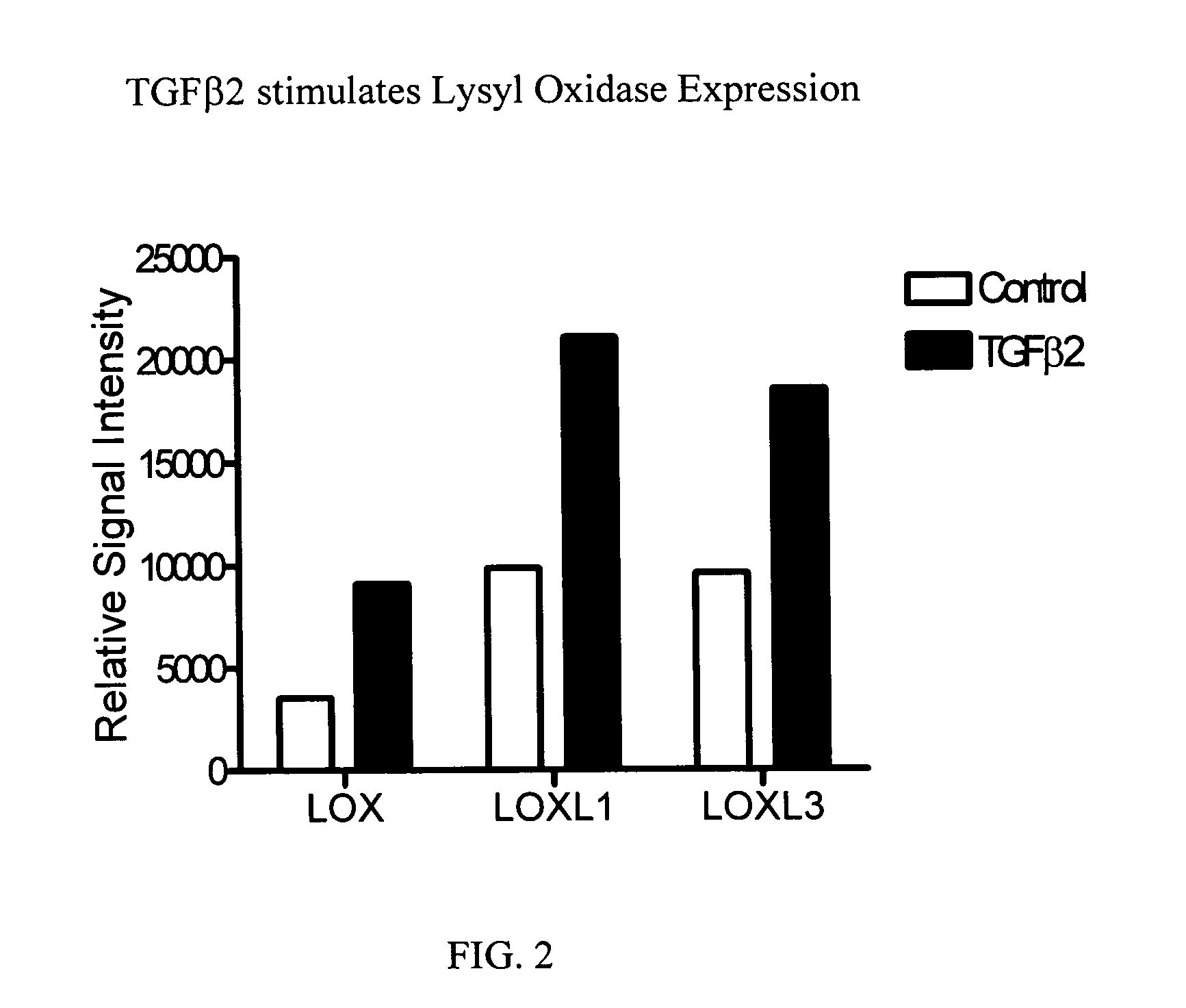 Agents which regulate, inhibit, or modulate the activity and/or expression of lysyl oxidase (LOX) and LOX-like proteases as a unique means to both lower intraocular pressure and treat glaucomatous retinopathies/optic neuropathies