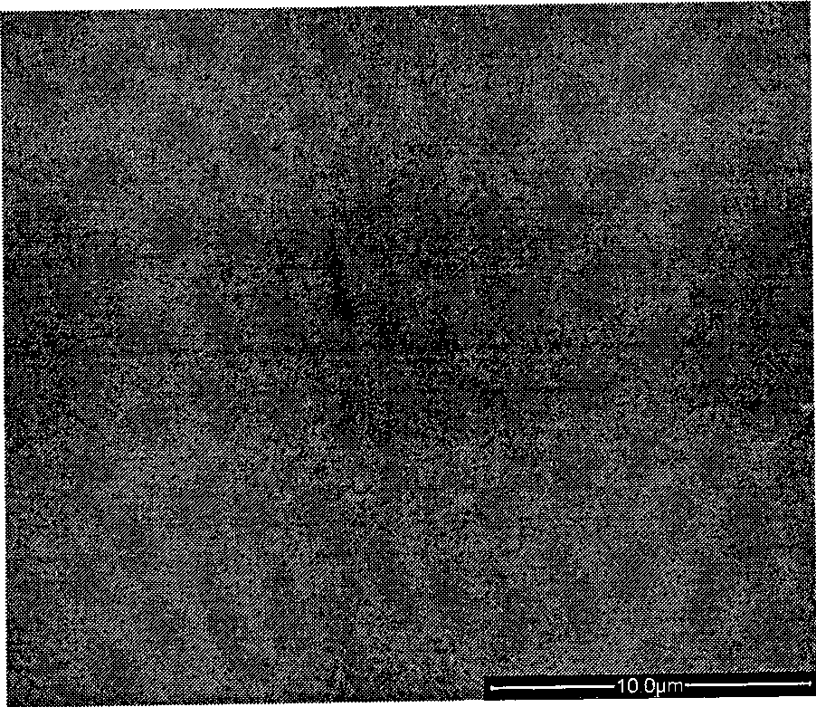 Method for continuously preparing two-sided texture high-temperature superconduction bibasic strip transition layer