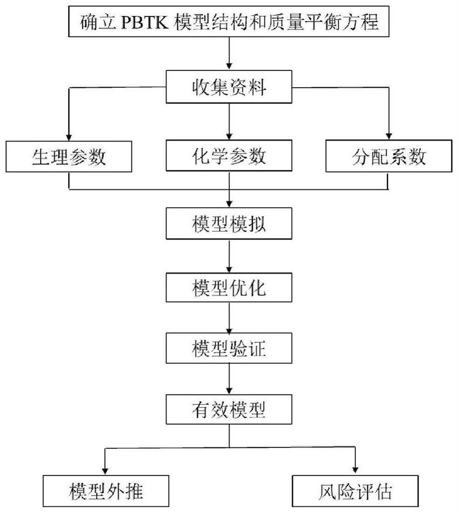 Construction method of physiological toxicokinetic model of nonylphenol in rats