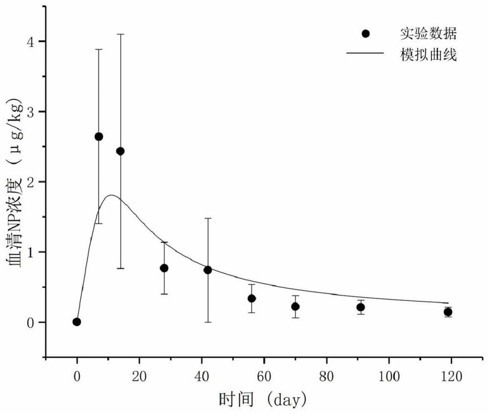 Construction method of physiological toxicokinetic model of nonylphenol in rats