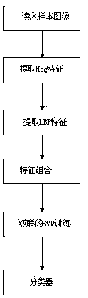 Pedestrian detection method and device based on characteristic combination