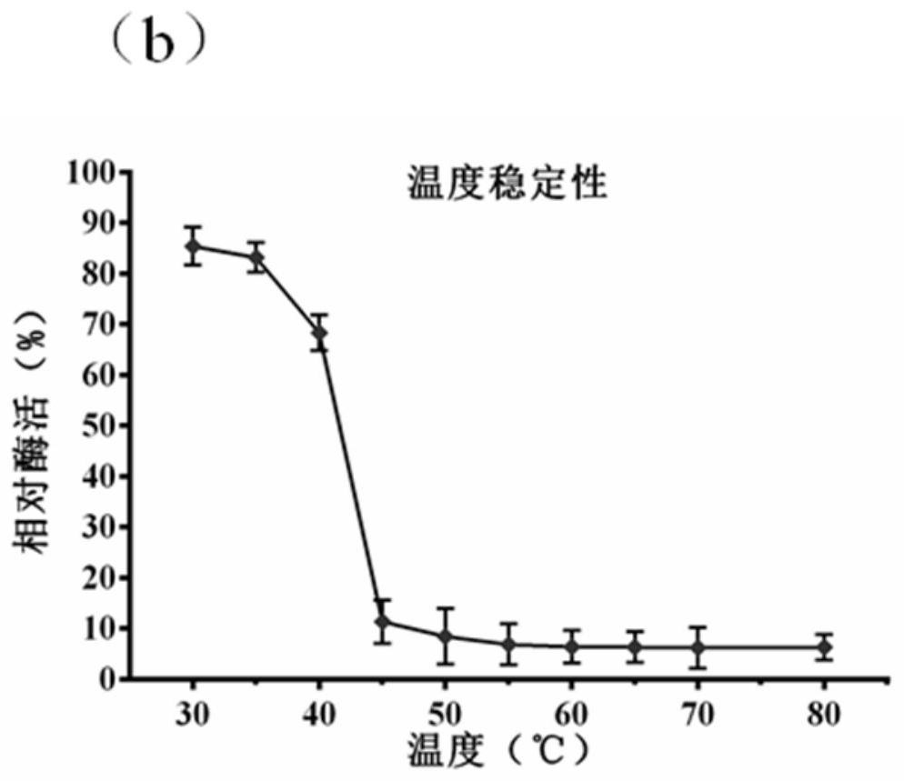 Beta-N-acetylglucosaminidase 159 as well as cloning expression and application thereof
