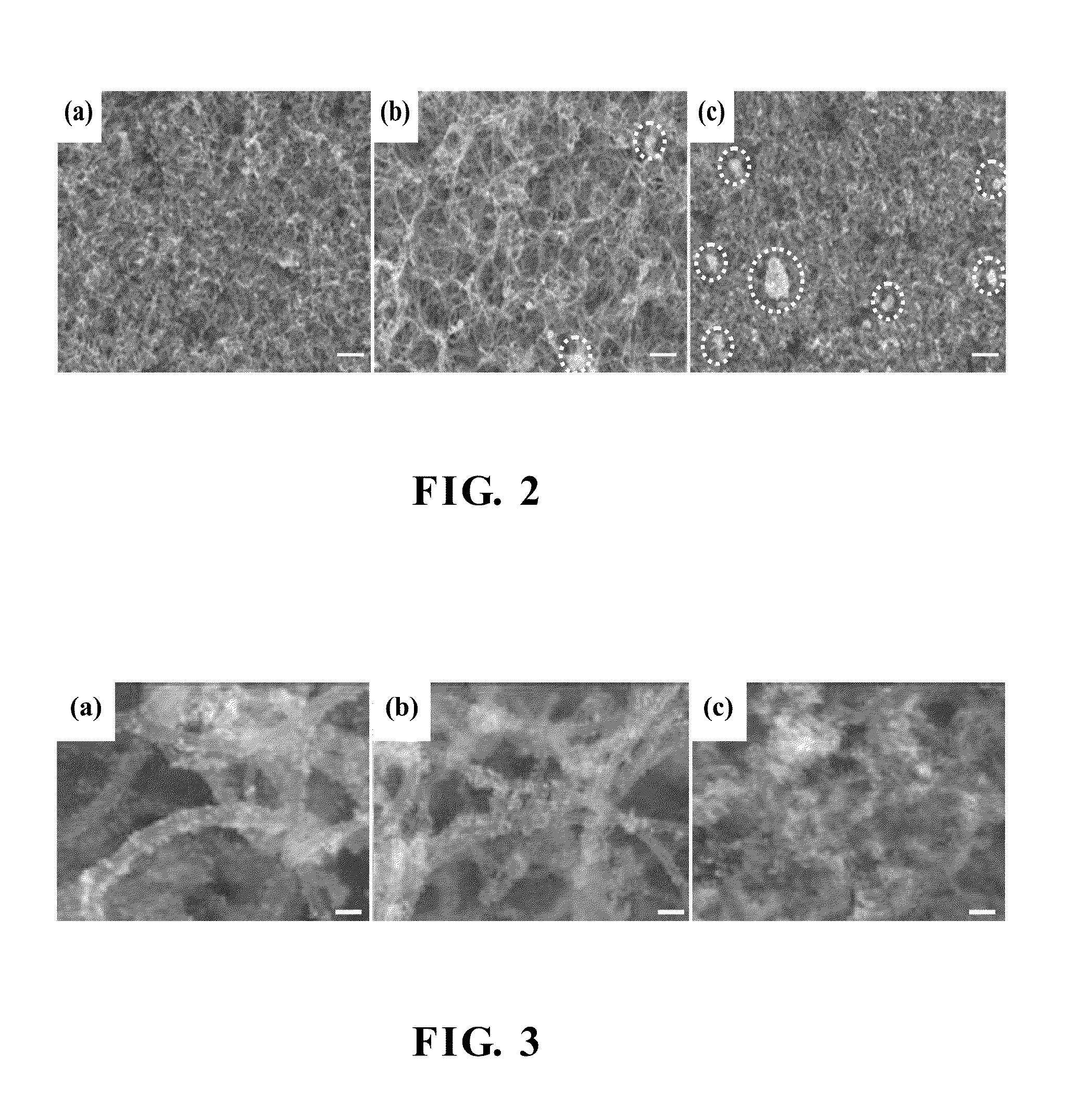 Method and device for preparing platinum catalyst