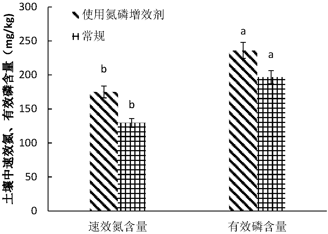 Nitrogen and phosphorus synergist containing earthworm hydrolysate, as well as preparation method and application of nitrogen and phosphorus synergist
