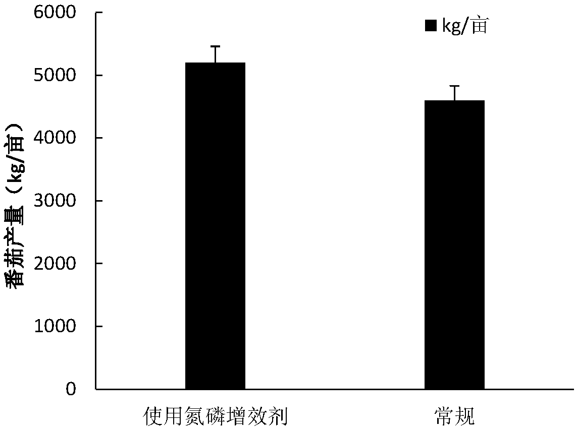 Nitrogen and phosphorus synergist containing earthworm hydrolysate, as well as preparation method and application of nitrogen and phosphorus synergist