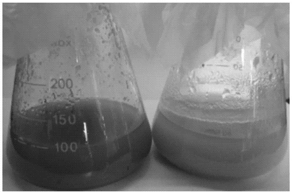 Method for effectively suppressing initial-stage browning phenomenon of liquorice cell suspension culture