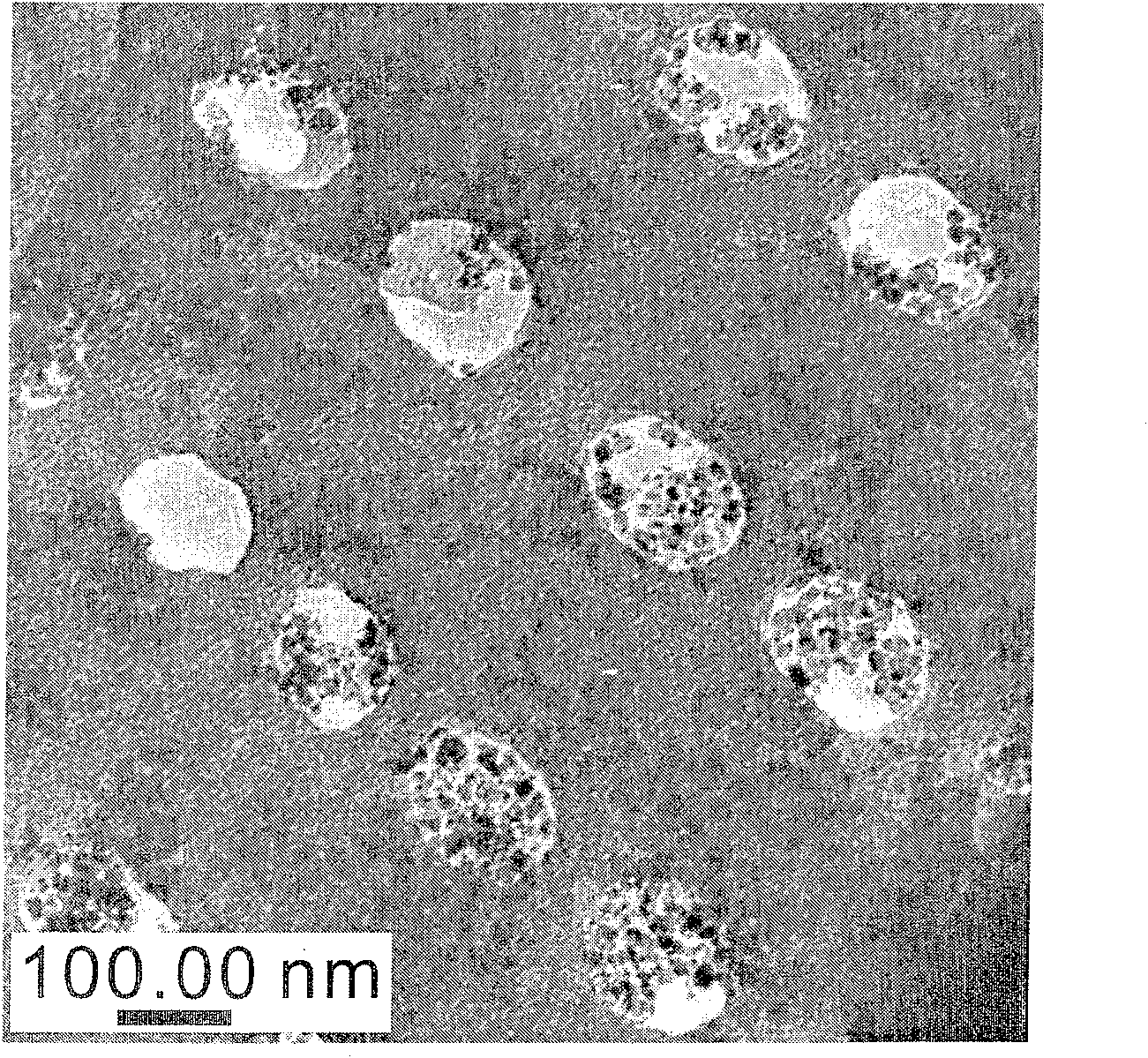 Preparation method of nano magnetite/diatomite composite for removing Cr6+ in water