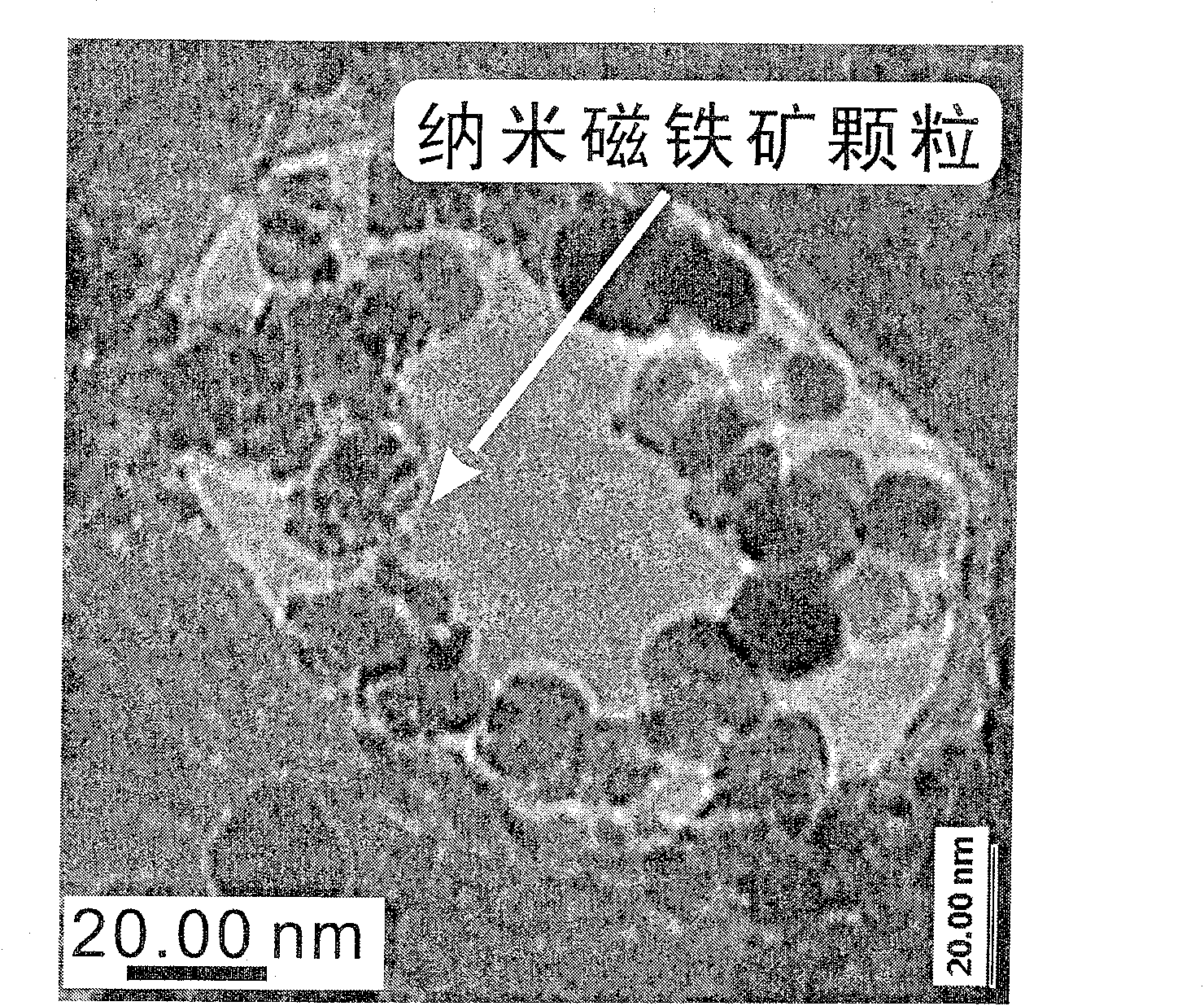 Preparation method of nano magnetite/diatomite composite for removing Cr6+ in water