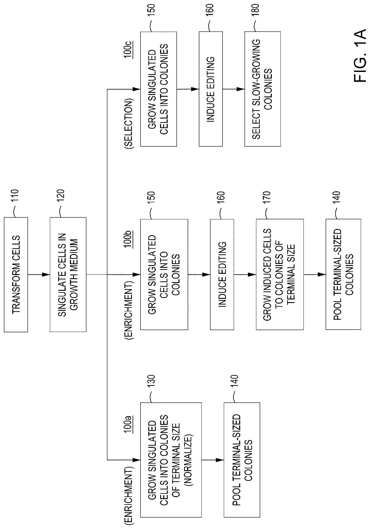 Detection of nuclease edited sequences in automated modules and instruments