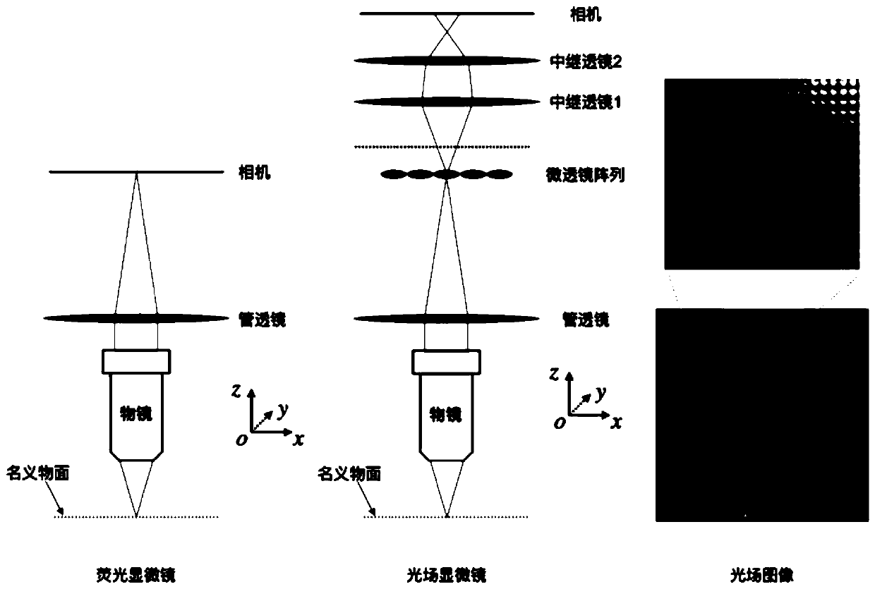 Reconstruction method of microscopic light field volume imaging and its forward process and back projection acquisition method