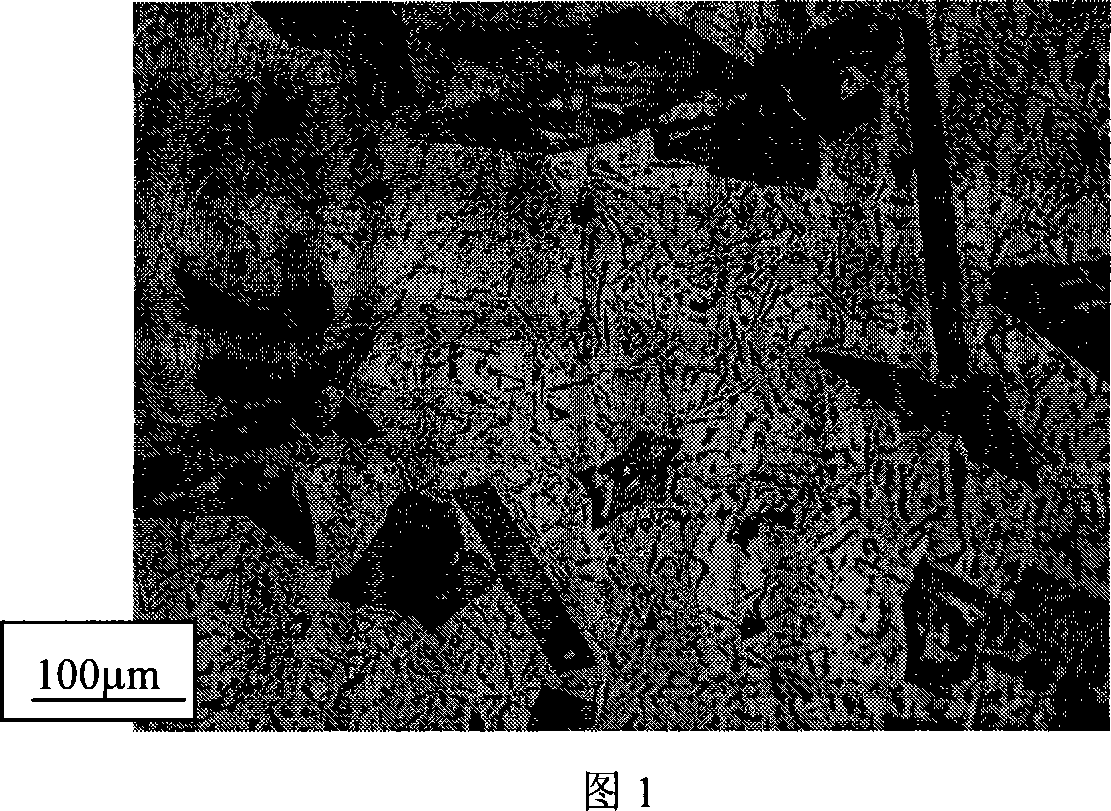 Aluminum-silicon alloy alterative and manufacturing method thereof