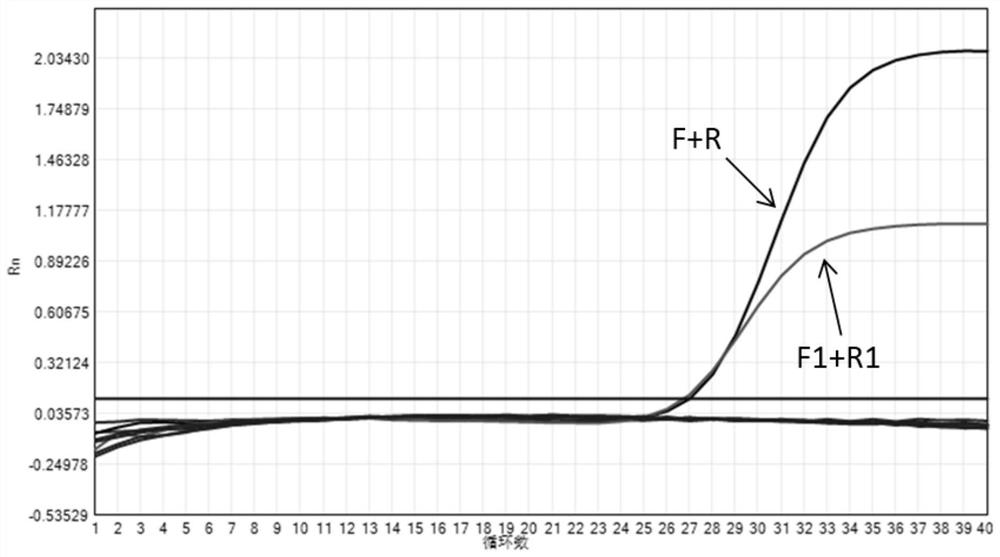 Nucleic acid composition, kit and method for detecting pathogens of upper respiratory diseases of cats