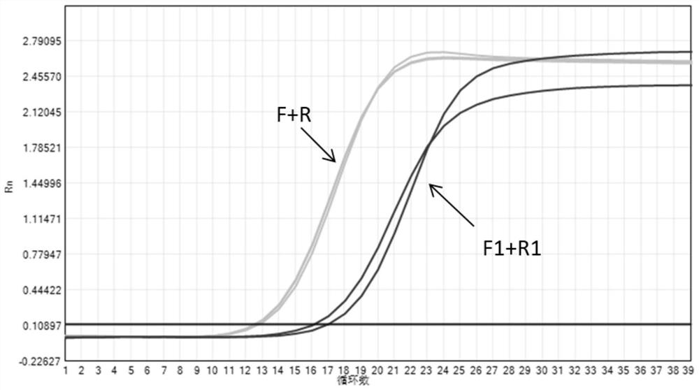 Nucleic acid composition, kit and method for detecting pathogens of upper respiratory diseases of cats