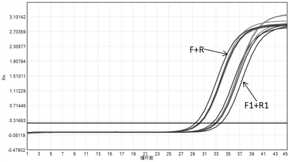 Nucleic acid composition, kit and method for detecting pathogens of upper respiratory diseases of cats