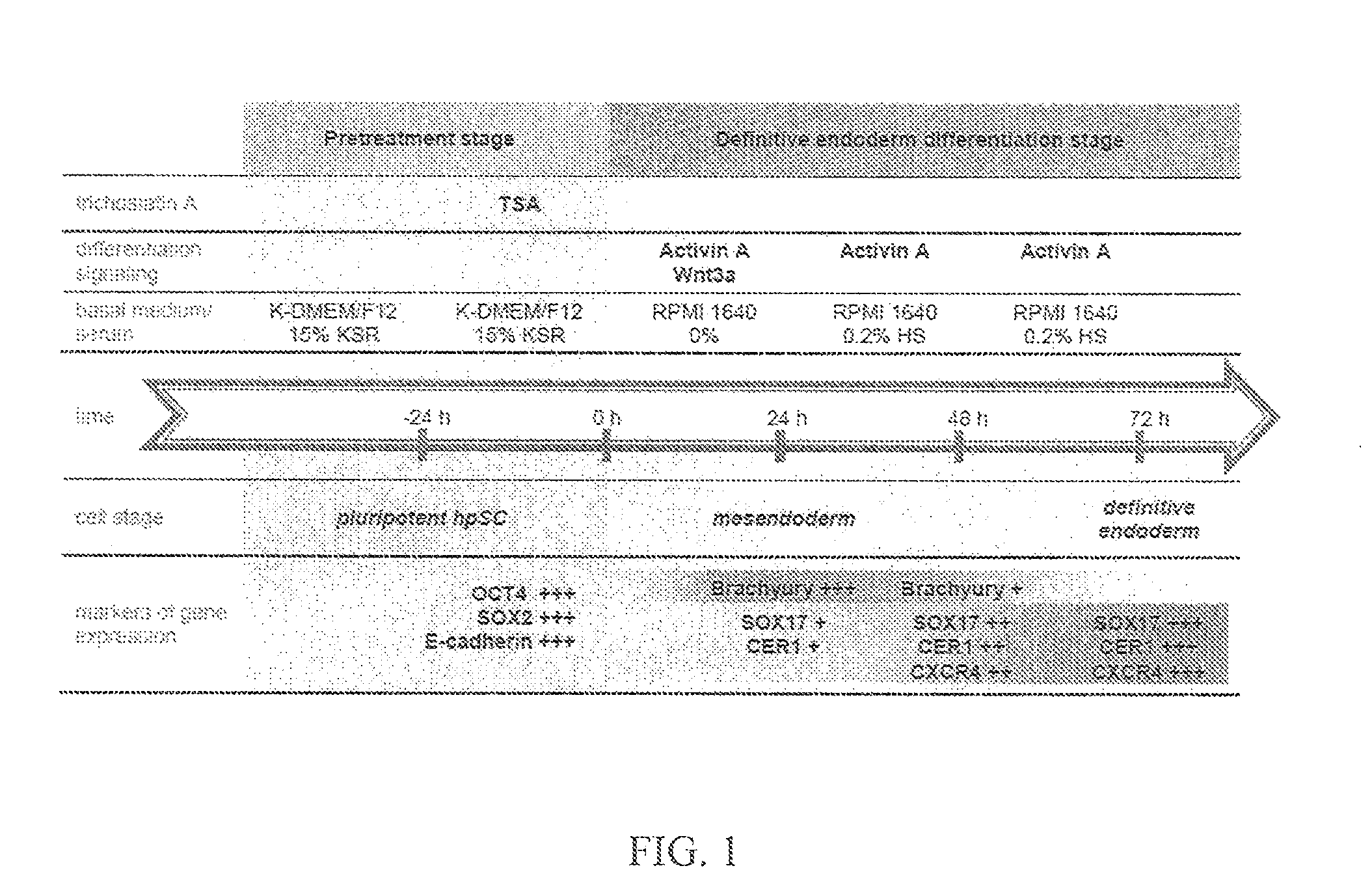 Methods of deriving definitive endoderm cells from pluripotent parthenogenetic stem cells
