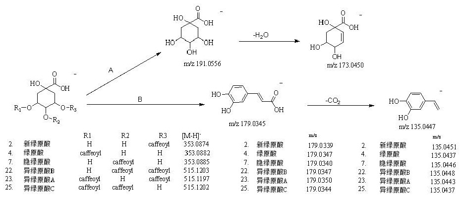 Comprehensive analysis method for chemical components of compound Xiling detoxification preparation