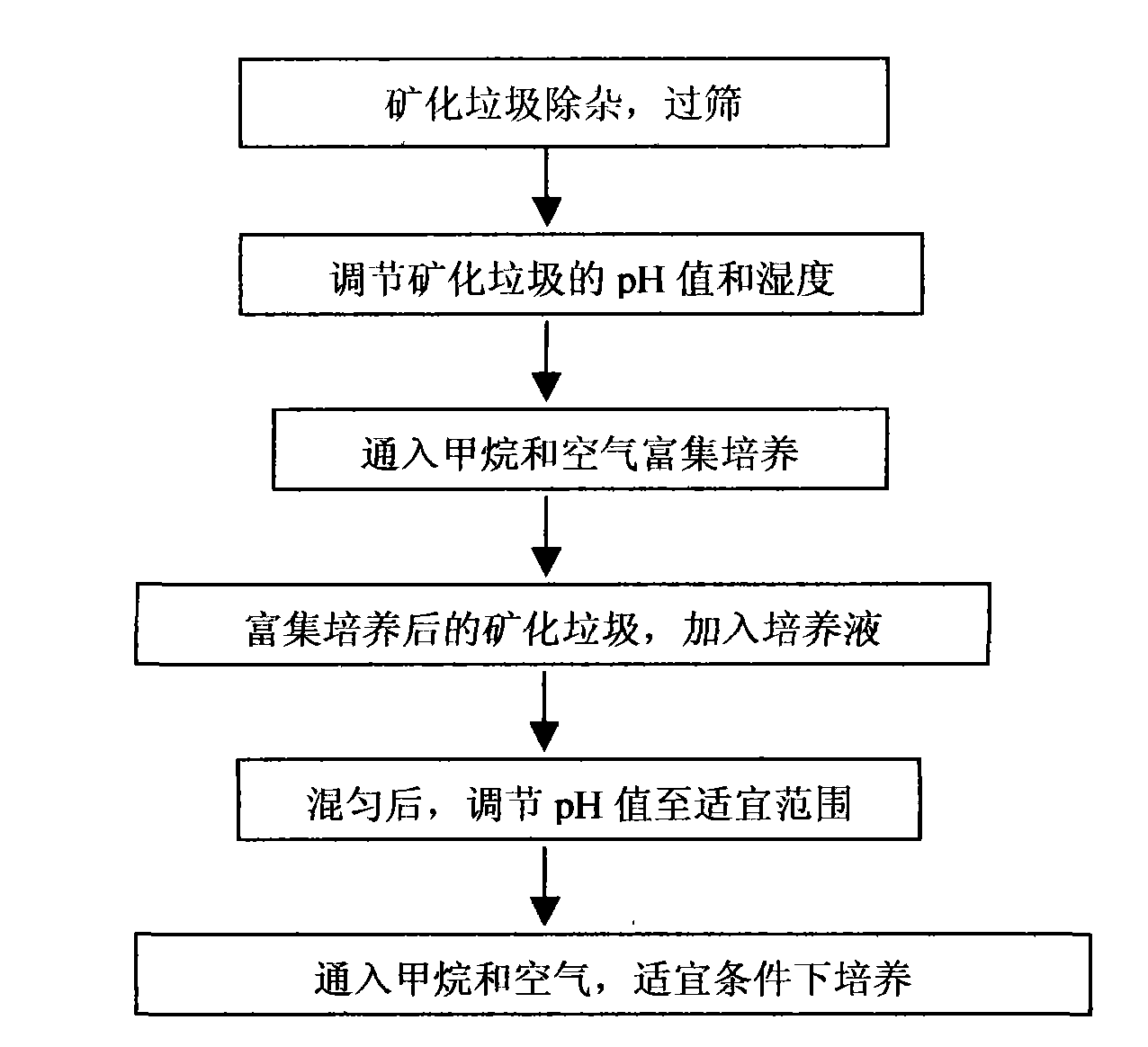 Process for producing methyl hydride oxidized bacteria agent