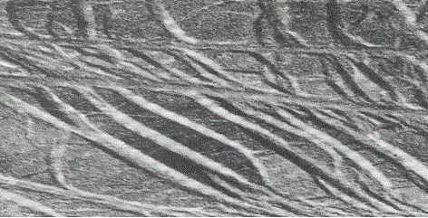 A heat treatment process for low-alloy structural steel and low-carbon structural steel