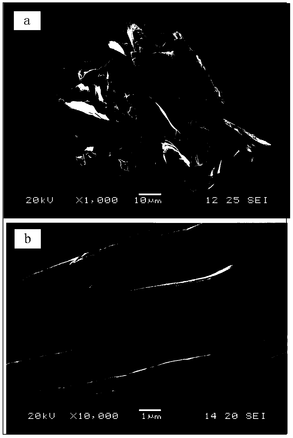 Method for preparing plate-like basic magnesium carbonate by template-induced/homogeneous precipitation