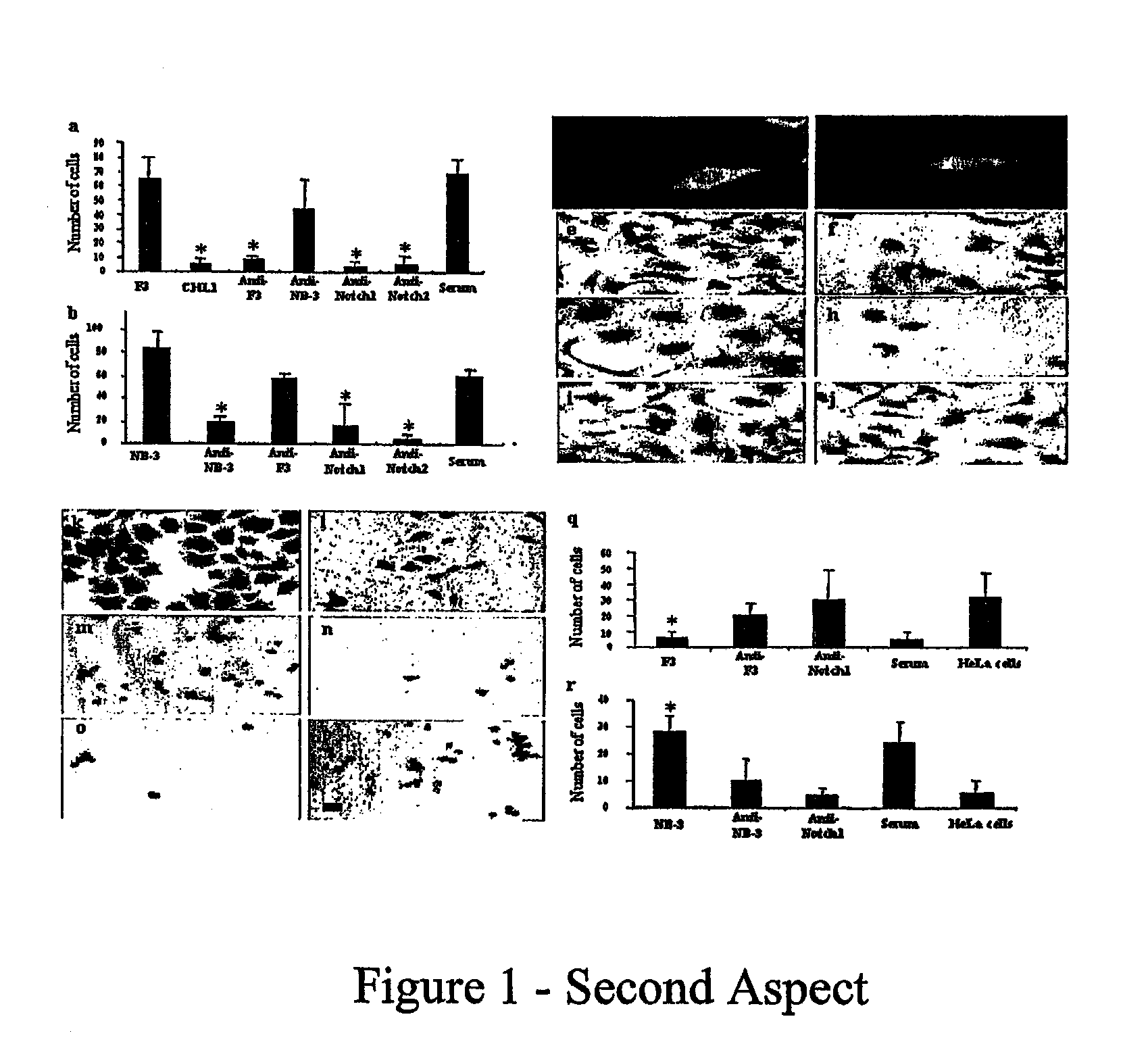 Materials and methods relating to treatment of injury and disease to the central nervous system
