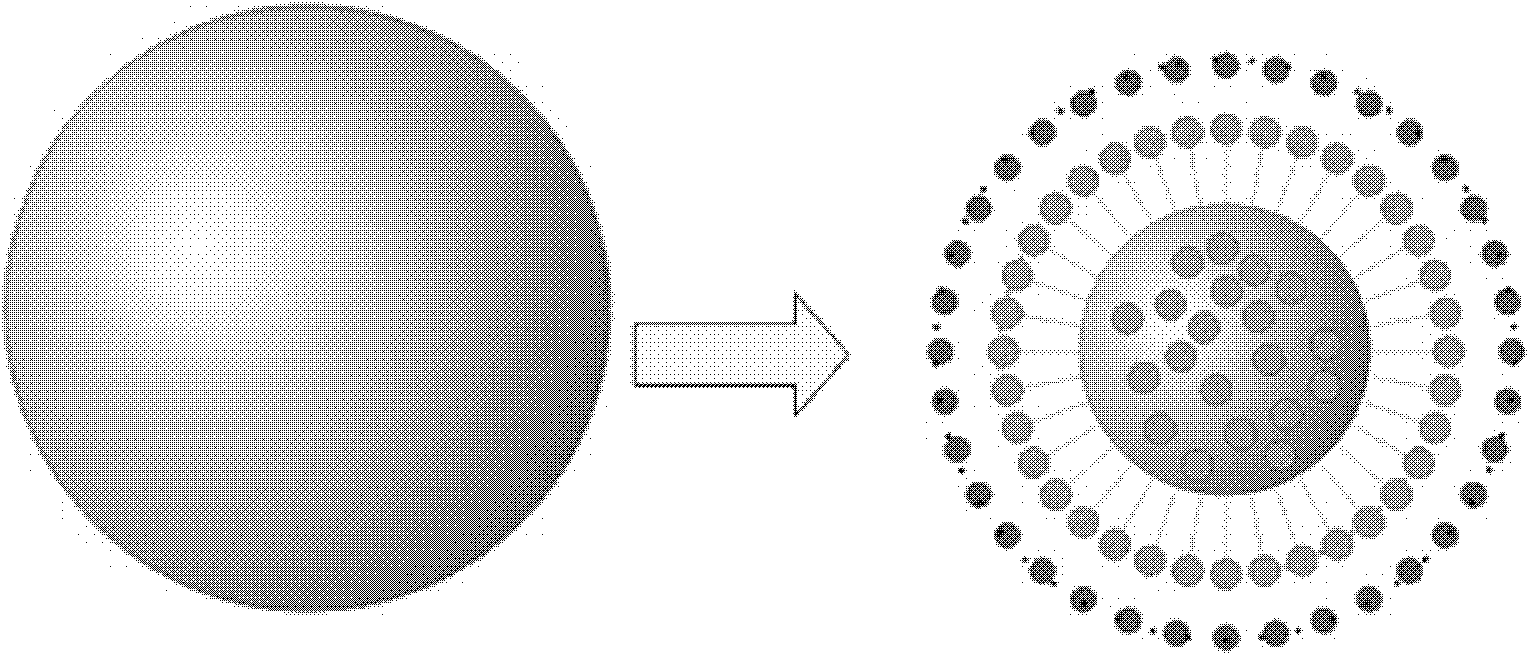Composite fine particles of forward osmosis driving solution system and application thereof