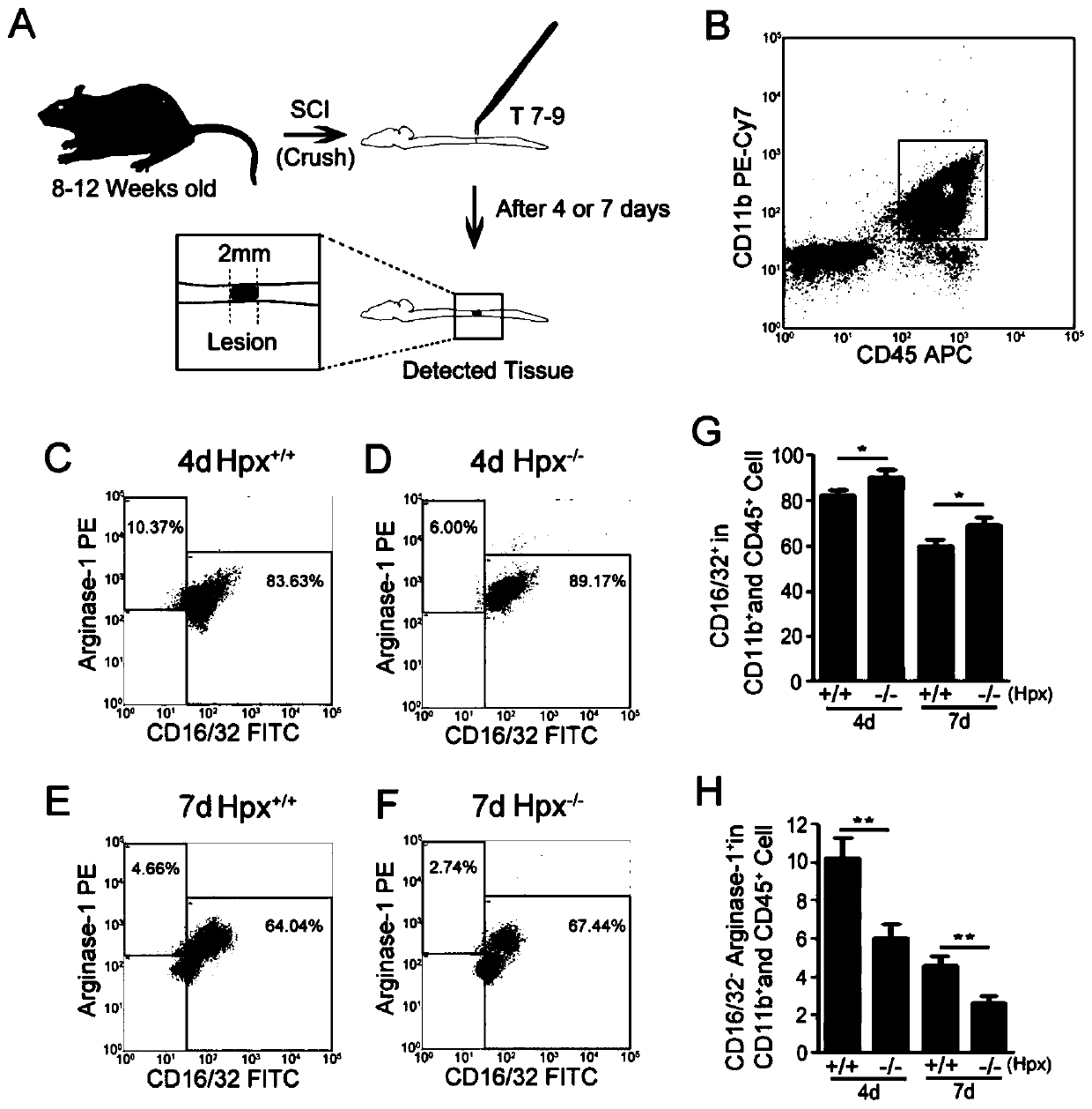 Method and application of hpx protein to induce and maintain selective polarization of microglia