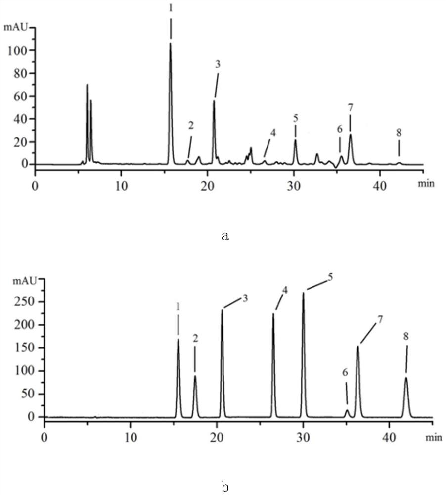 Method for extracting lignan compounds from Chinese magnolia vine fruit