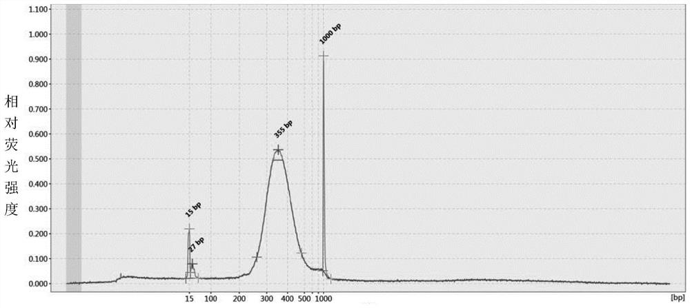 Preparation method of quantitative standard substance for high-throughput sequencing library of illumina platform