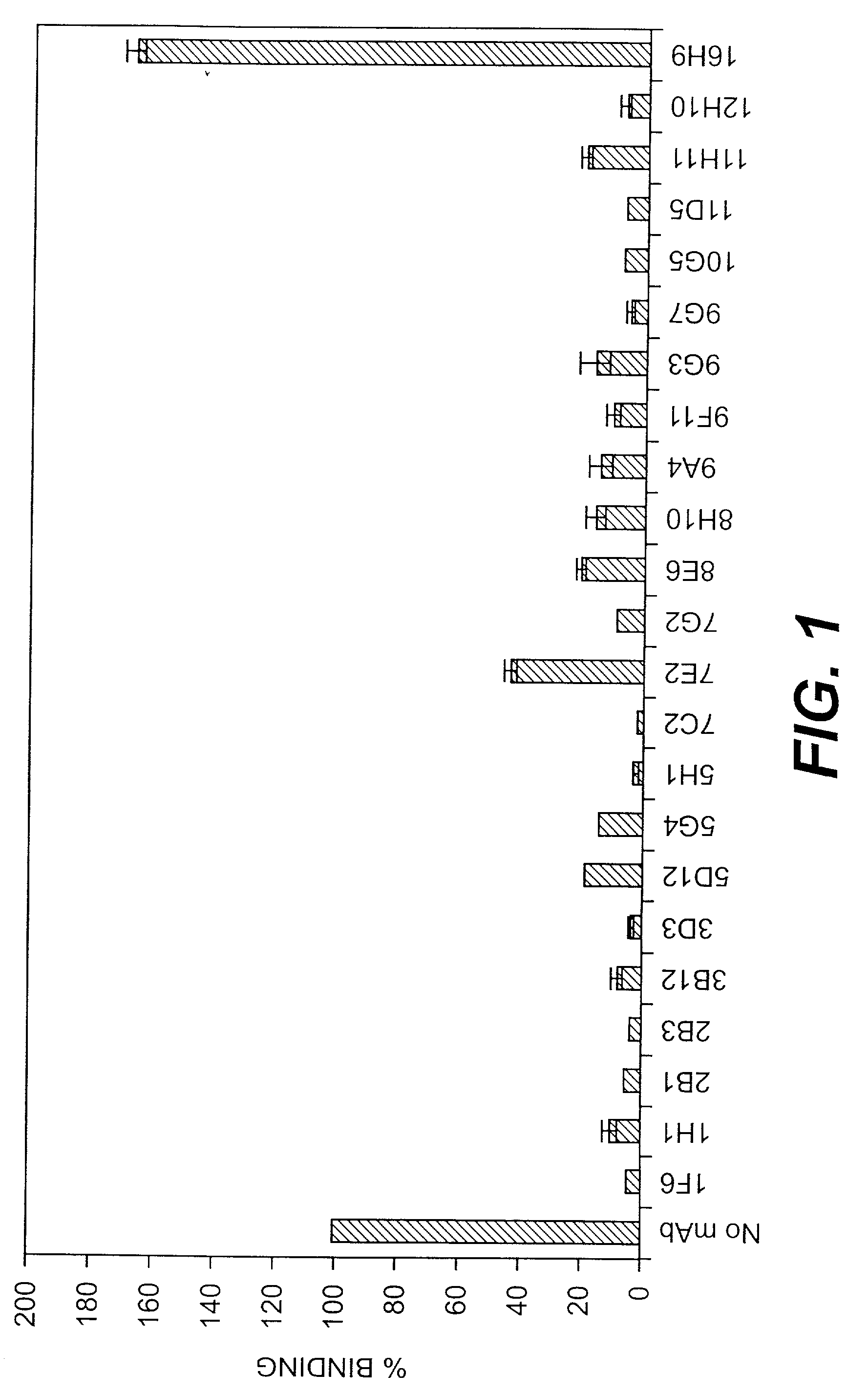 Cross-reactive displacing antibodies from collagen-binding proteins and method of identification and use