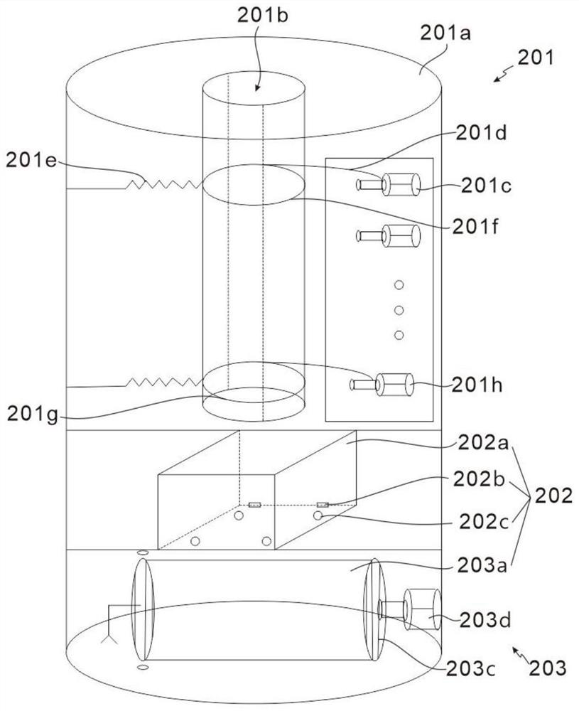 Device capable of shelling walnuts in different shapes