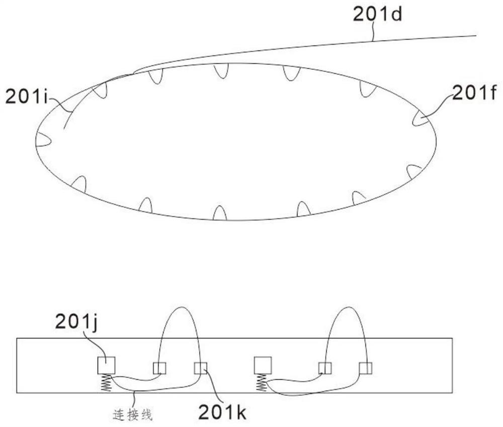 Device capable of shelling walnuts in different shapes