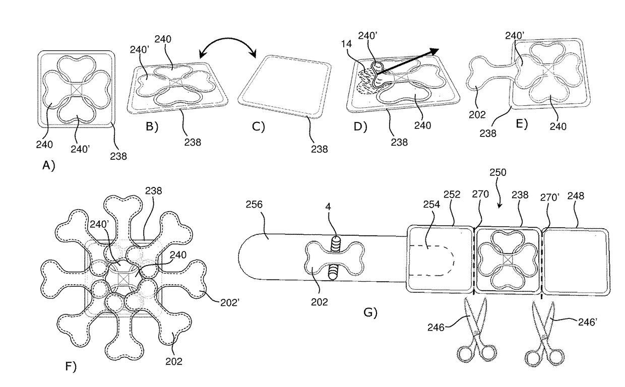 Training and stimulation device